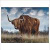Полная 5D Diy Алмазная Картина Большая Корова Алмазная Вышивка Полная Выкладка Крестом Домашний Декор Ручной Работы Подарок