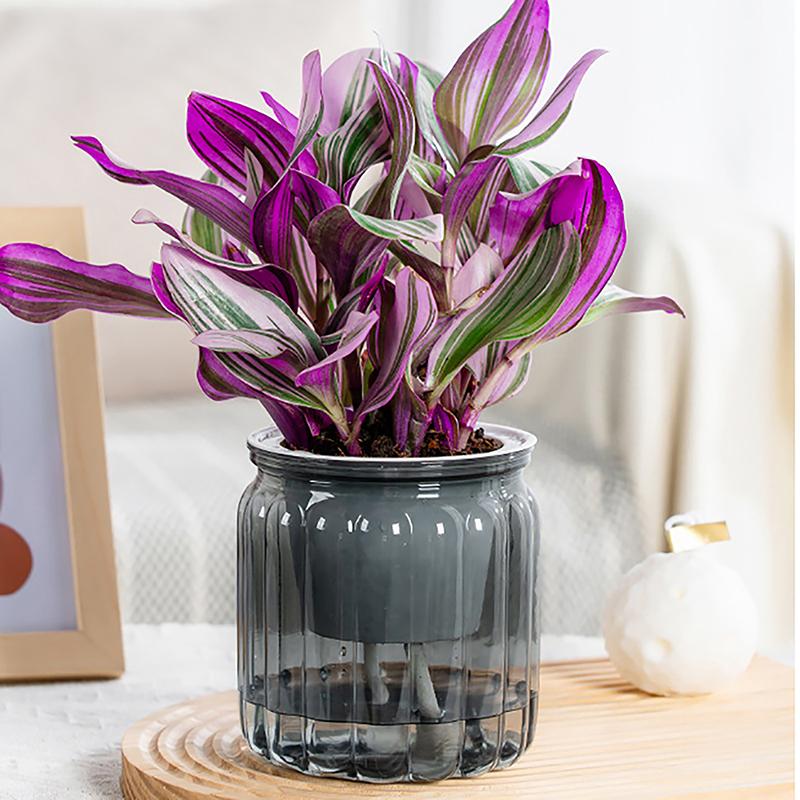 Круглые самополивающиеся цветочные горшки гидропонный горшок для растений ваза самопоглощающий водоем для домашнего бонсай настольный декор