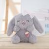 Plush Bunny Keychain With Pp Cotton Filling For Kids And Adults