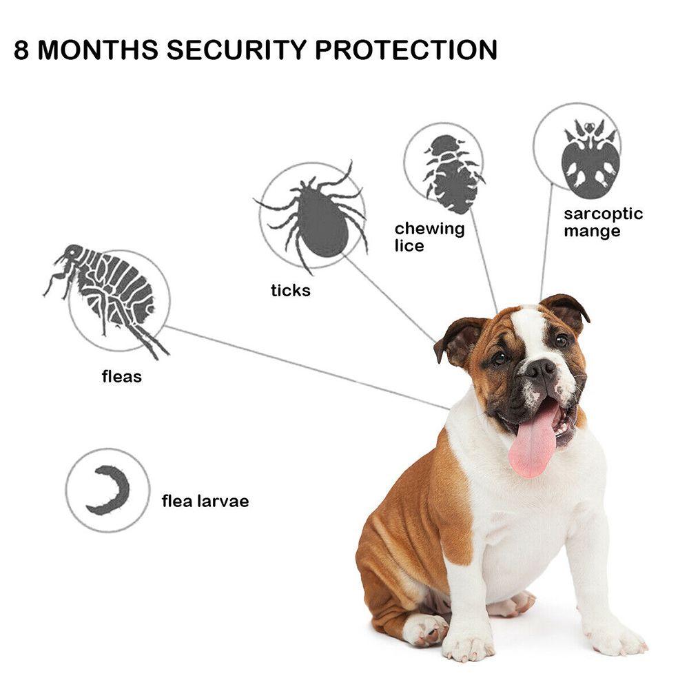 One Size Fits All Rubber for Dogs Cats Adjustable Flea and Tick Protection Flea and Tick Collar