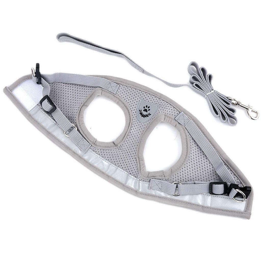 RANPHY Cat Harness and Leash Cute and Suitable for Dogs and with Reflective Stylish No Leg Lift Breathable Easy to Put Adjustable Escape Small L Set,