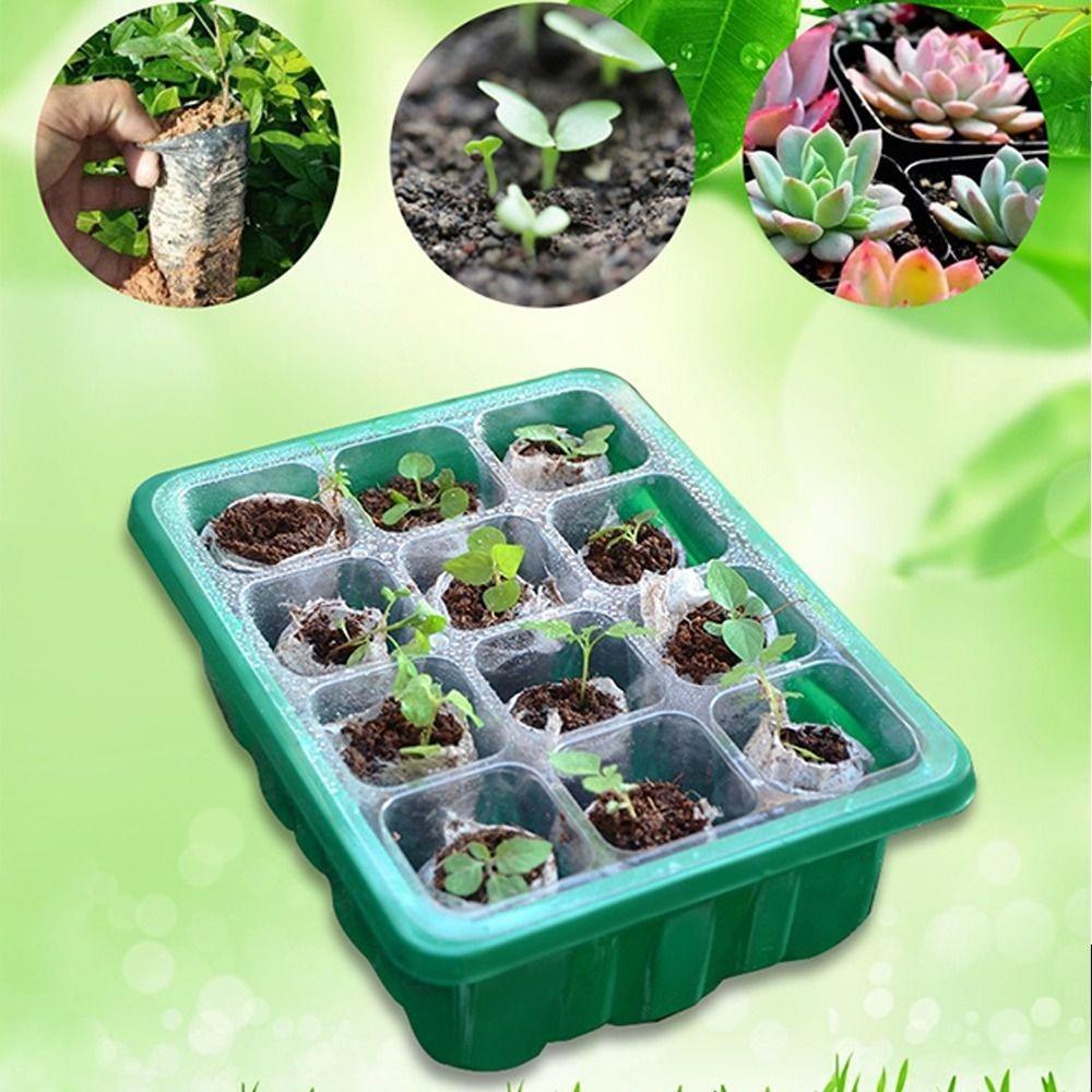6/12Grids Seed Starter Tray Mini Greenhouse Cultivation Planting Box Plant Germination Base Garden
