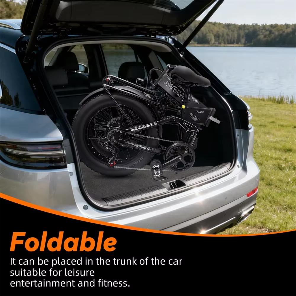 2026 Bestseller Paselec PX6 750W 48V 12Ah Electric Folding Bicycle 20 inch Thick Tire Folding Electric Bicycle Adult Mountain Ebike