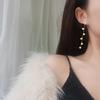 Модные изысканные серьги-подвески из нержавеющей стали с покрытием 18 карат золотом, с длинной кисточкой, в форме сердца, для женщин, подарок