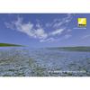 Nikon Super Wide Angle Zoom Lens AF-S NIKKOR 18-35mm f/3.5-4.5g ED Full Size Compatible