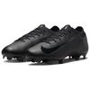 Zoom Mercurial Vapor 16 Pro FG 2024 Shadow Pack - FQ8685-002