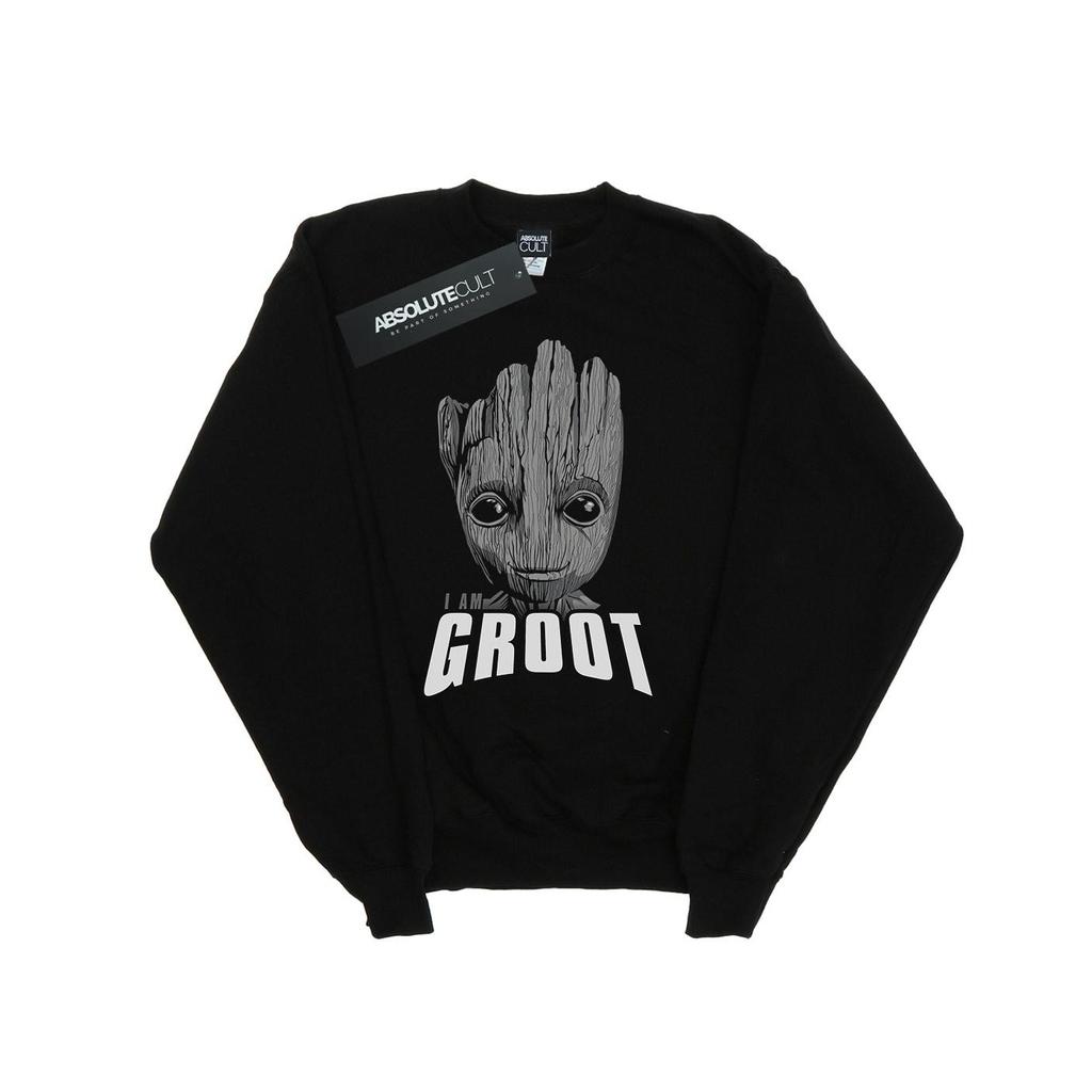 Marvel Boys Guardians Of The Galaxy Groot Face Sweatshirt