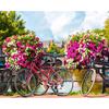 Алмазная вышивка Алмазная картина Велосипед Цветы Мост Полный круглый дрель Вышивка крестом