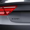 Car Trunk Sticker 3D ABS Black Silver 40e-Tron 45e-Tron 50e-Tron Decal For S A4 B8 A3 8P A6 C7 8V B9 B7 B6 C6 A5 Q5 C5 A1 Q3