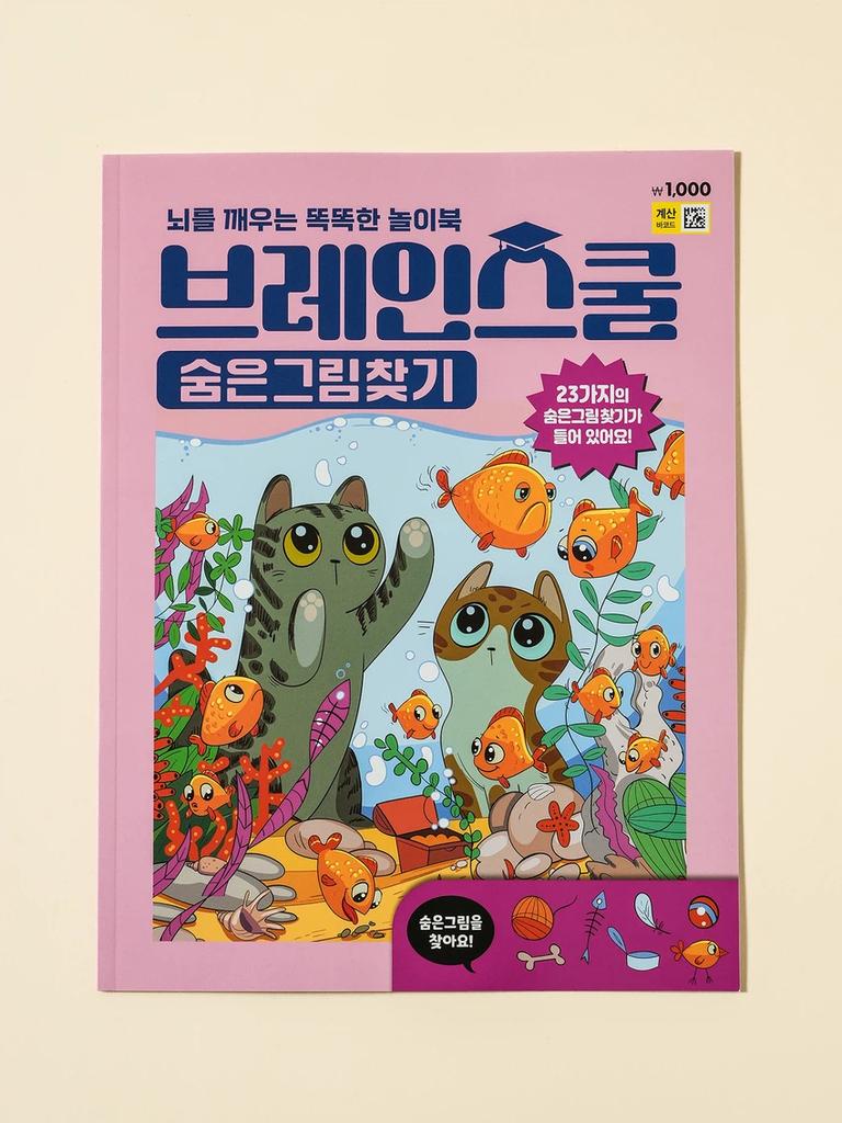 Brain School Hidden-Picture Book