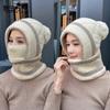Winter Pullover Hat Women's Cycling Warm Windproof Scarf Mask Integrated Hat Fleece Ear Protector Knitted Wool Hat