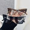 Fashion Retro Cat Eye Sunglasses Women Men Vintage Sun Glasses Female Male Outdoors Designer Frame Mirror Punk