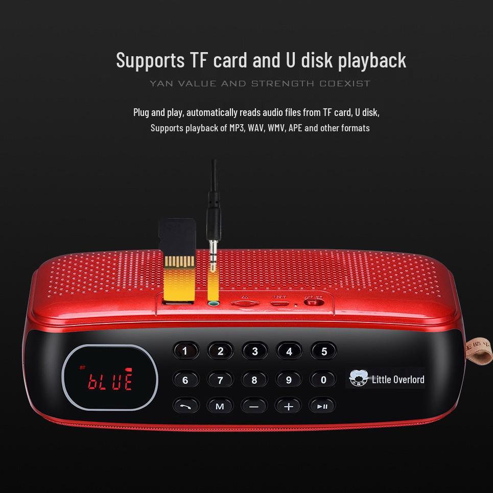 Bluetooth-колонка Little Overlord D82: Поддерживает карту/USB для прослушивания FM-радио.