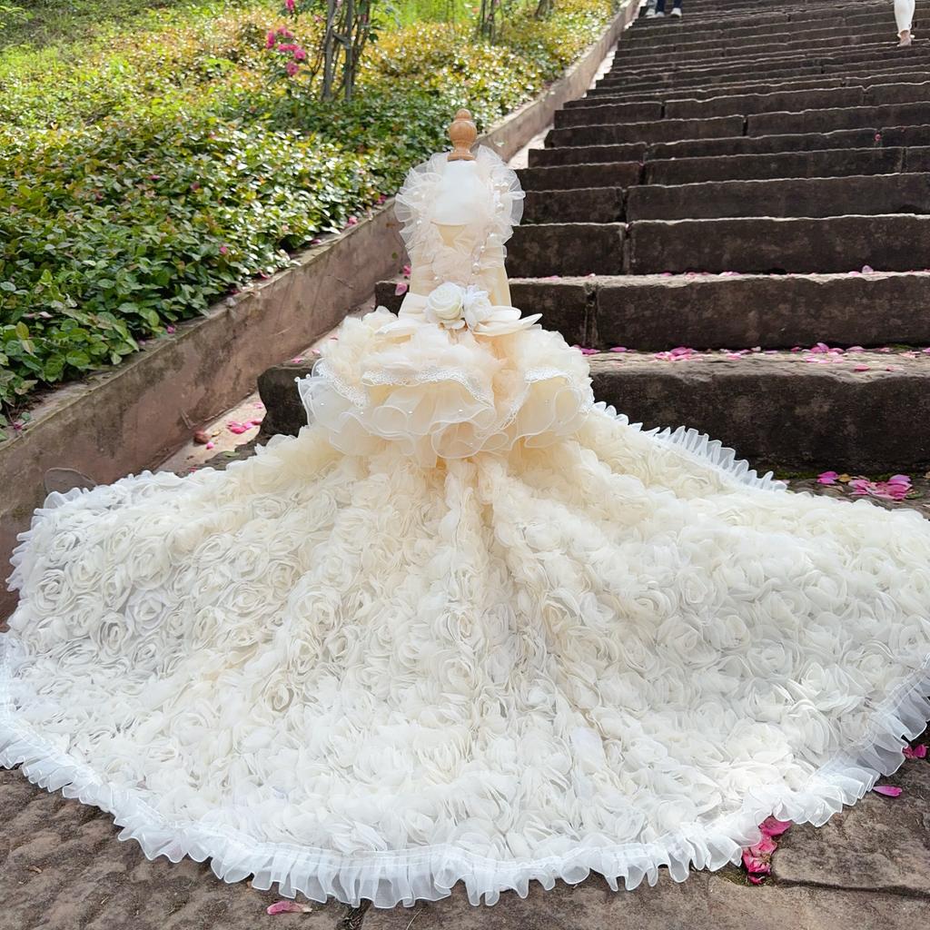 High-end Luxury Puppy Photography Skirt Pet Dog Clothes Handmade Roseflower Lace Long Tail Princess Dress For Small Medium Dog