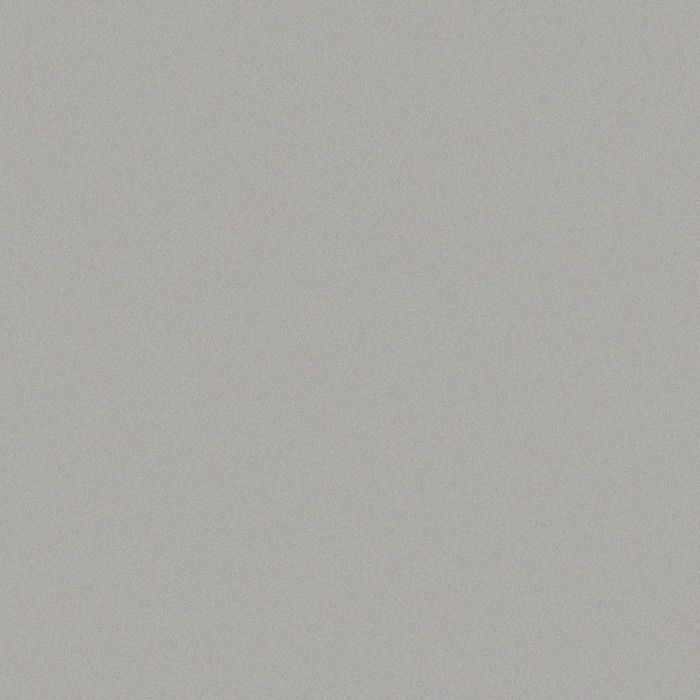 Wepam - Porcelaine froide à modeler WePam 145 g Argent