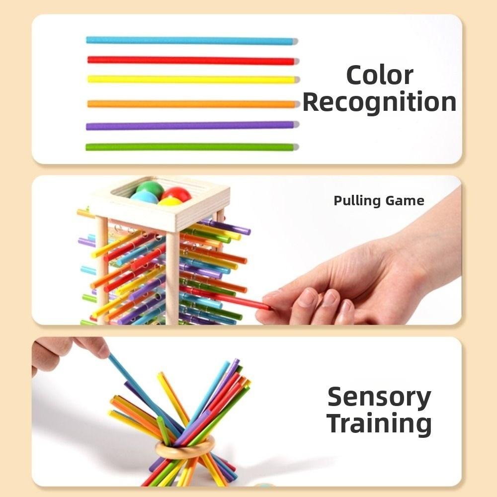 Montessori Wooden Board Games Cognitive Development Educational Toy  Boys and Girls