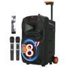 Songchuan International SS1 Уличная Bluetooth-колонка на колесиках, штекер CN (адаптер в комплекте)