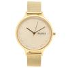 Часы SKAGEN SKW2774 Gold [Skagen] Женские [предмет]