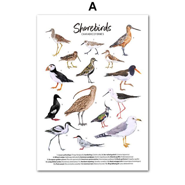 Насекомые, птицы, бабочки, сафари, образовательные плакаты с животными и принты, холст, украшение для детской комнаты, домашние картины, детская комната