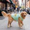Thin Breathable Cooling Jacket Breathable Dog Sunscreen Clothes Dog Ice Silk T-shirt  Summer Wear