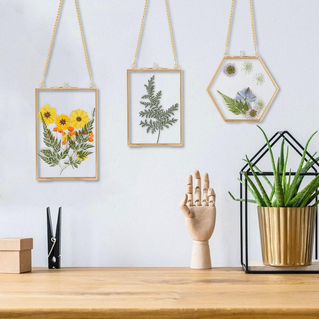 Three-Piece Brass & Glass Hanging Wall Frame Set for Plants & Photos