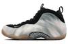 Air Foamposite One Qs Dream A World FB2195-200