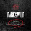 BTS VOL.1 [DARK & WILD]