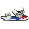 Кроссовки RS-Sandal Grey Violet White Unisex 374862-03