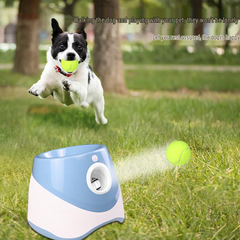 Automatic Dog Ball Launcher for Border Collies - Tennis Ball Throwing and Bouncing Toy