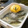 Waterproof Portable Float Aerator Rechargeable Fish Tank Air Pump Aquarium Oxygen Pump  Fishing