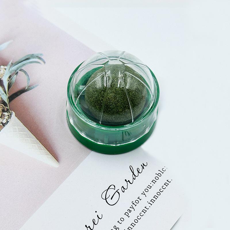 Кошачья мята Мататаби Игрушка-дразнилка и Жевательная палочка для игры котенка