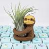Air Plants Holders Unique, Sloth Gifts for Women Plant Lovers Gardeners Coworkers Girls, Cute Sloth Decor for Home Office Desk