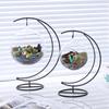 Moon-Shaped Moss Micro Landscape Glass Bottle with Iron Art Hanging Hook