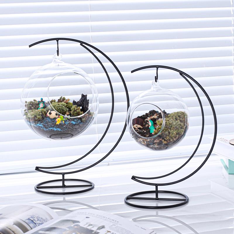 Moon-Shaped Moss Micro Landscape Glass Bottle with Iron Art Hanging Hook