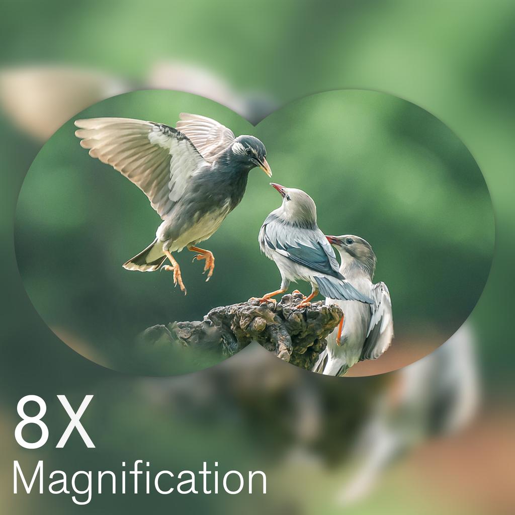 Lightweight Mini Binoculars Foldable Pocket Binoculars for Adults Kids Bird Opera Watching