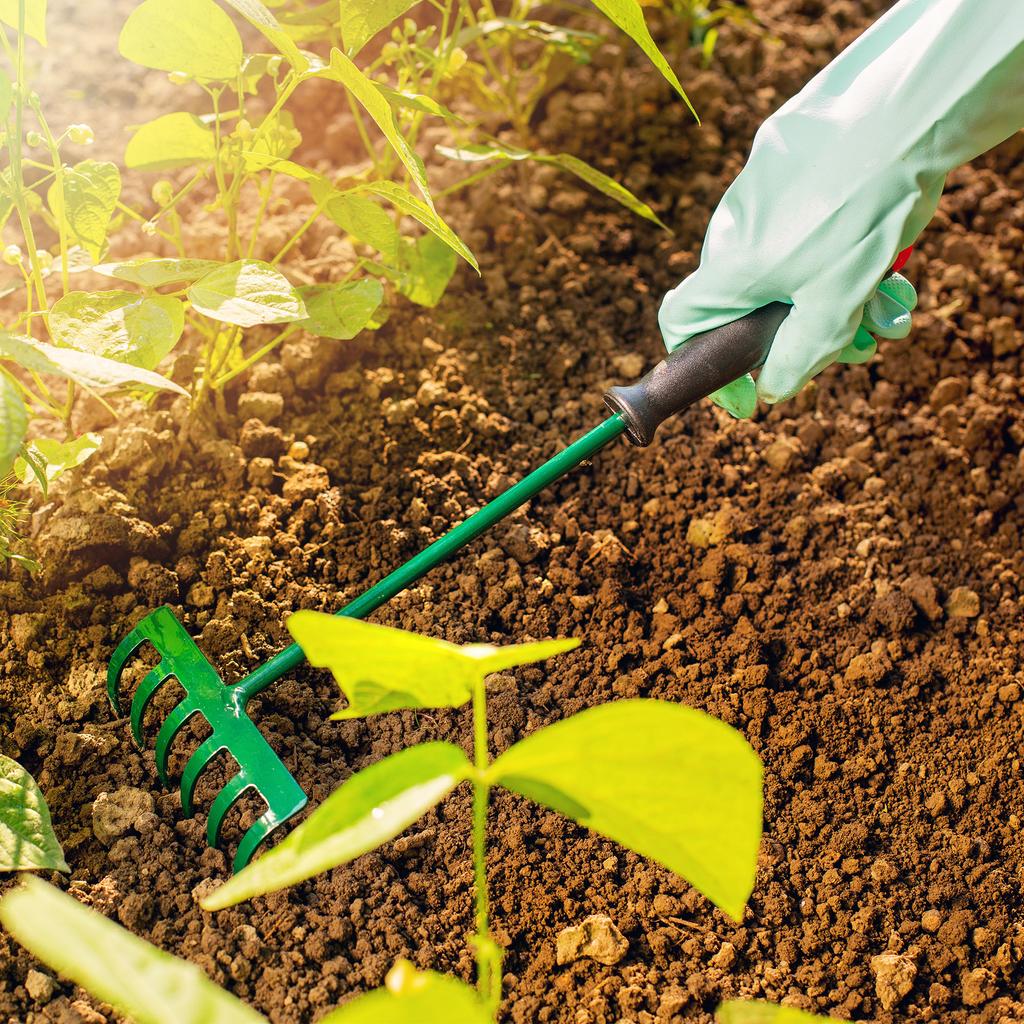 KADAX Zestaw Narzędzi Ogrodowych 3W1 Łopatka Do Korzeni Łopata Grabie Grabki