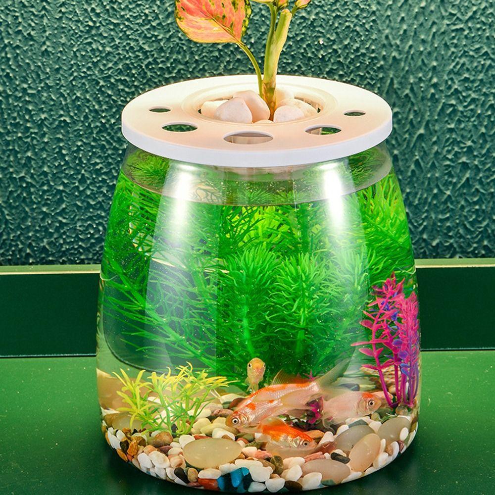 Transparent Small Clear Fish Tank Shatterproof Turtle Terrarium Turtle Aquarium Office Decor