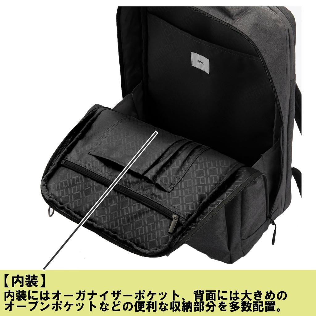 Кейс Ace Gene для мужчин с расширяемым объемом, двухсекционный, вмещает формат B4, 15,6-дюймовый ноутбук, Hover Light 2 и карман для антивирусных средств, нет. 67617