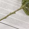 Mimosa Spray Fruit Branch For Home Decor Artificial Plant Fake Acacia Fake Flower Artificial Flower
