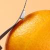 Stainless Steel Orange Peeler Tomato Fruit Peeling Tool Kitchen Peeler