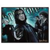 Harry Potter Death Eater Jigsaw Puzzle