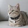 Quick Release Buckle Cat Collars Bell Kitten Necklace Cute Pet Collar  For Dogs