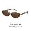 New Fashionable Trendy Foldable Cat-Eye Sunglasses s104Metal tr Hinged silicone nose pad sunglasses for women
