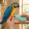 Portable Electric Parrot Nail Trimmer with 4 Polishing Heads Bird Nail Cutter  Pet Grooming