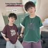 Футболка с принтом в корейском стиле для мальчиков, лето 2024 г.: Удобный топ с коротким рукавом для детей