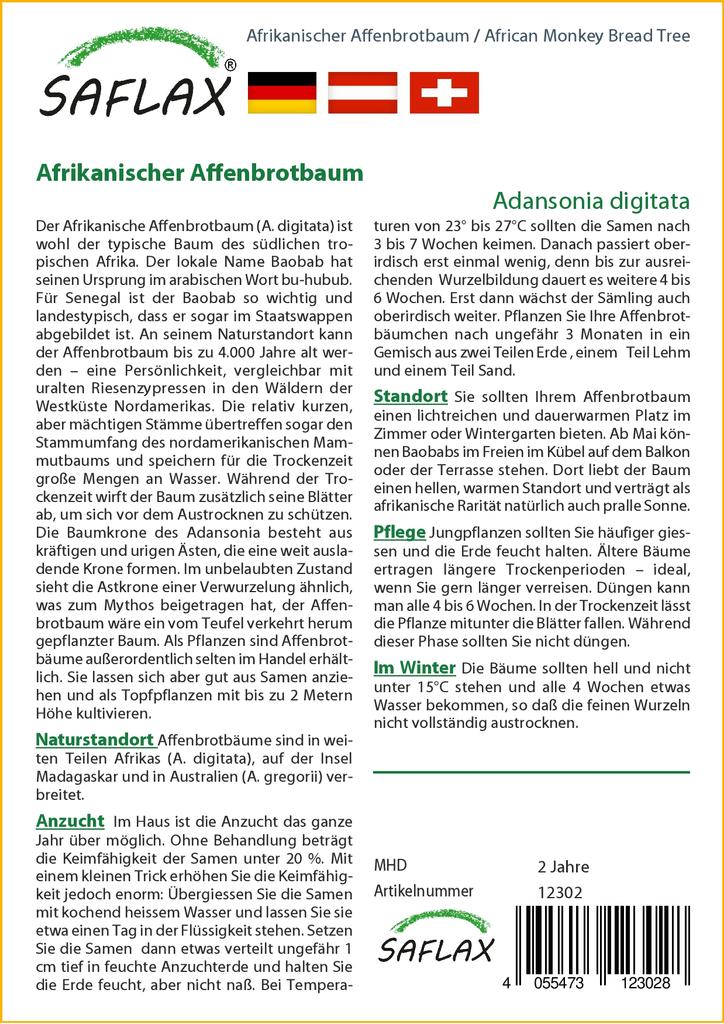 SAFLAX Хлебное дерево африканской обезьяны - 6 семян - Adansonia digitata