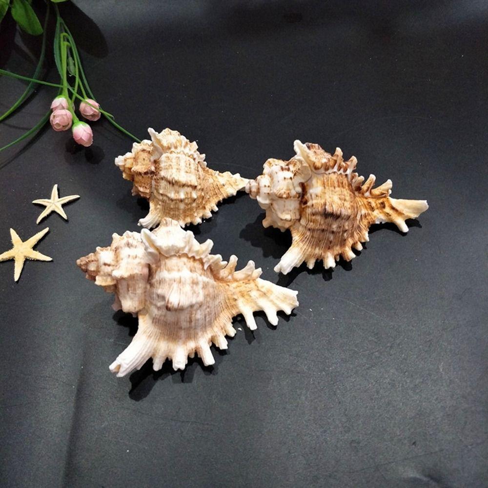 DIY Натуральная Большая Раковина Раковины Большие Раковины Поделки Статуя Аквариум Декор Главная