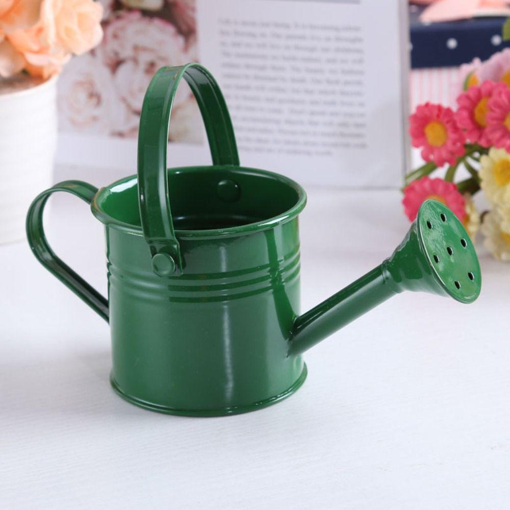Large Capacity Mini Metal Watering Can Thickened Sprinkler Durable Water Spraying Pot  Gardening