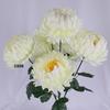Искусственный шелковый цветок хризантемы с 7 головками для мемориального и кладбищенского оформления во время Дня поминовения усопших.