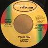 7-дюймовая пластинка IDONIA / MARVIN BINNS - Peace Cry / Why The War НЕТ Nutt'n Tu Sup'm 2005 Ямайка Регги, Ска и Даб Б/У
